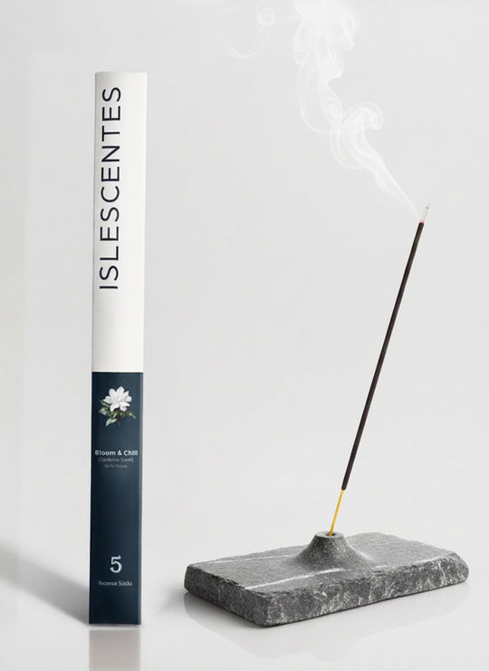 Bloom & Chill // Discovery Edition