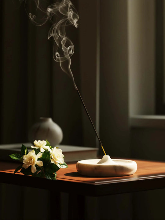 Bloom & Chill // Discovery Edition