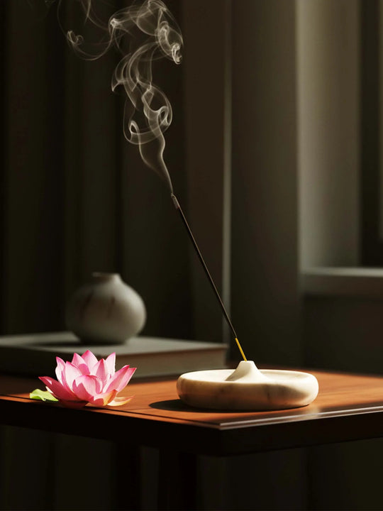 Abrazo // Edición Descubrimiento