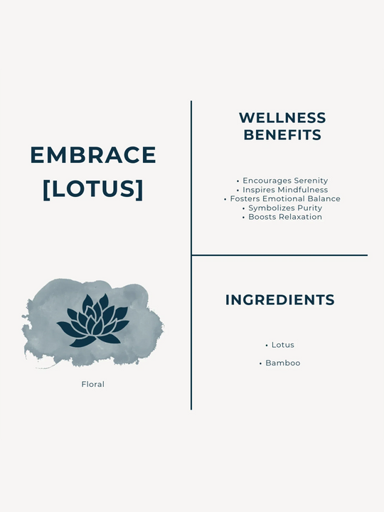 Abrazo // Edición Descubrimiento