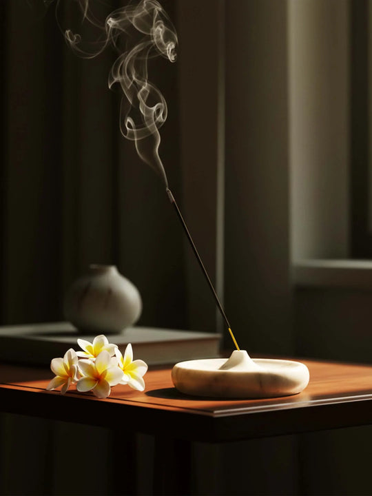 Island // Discovery Edition